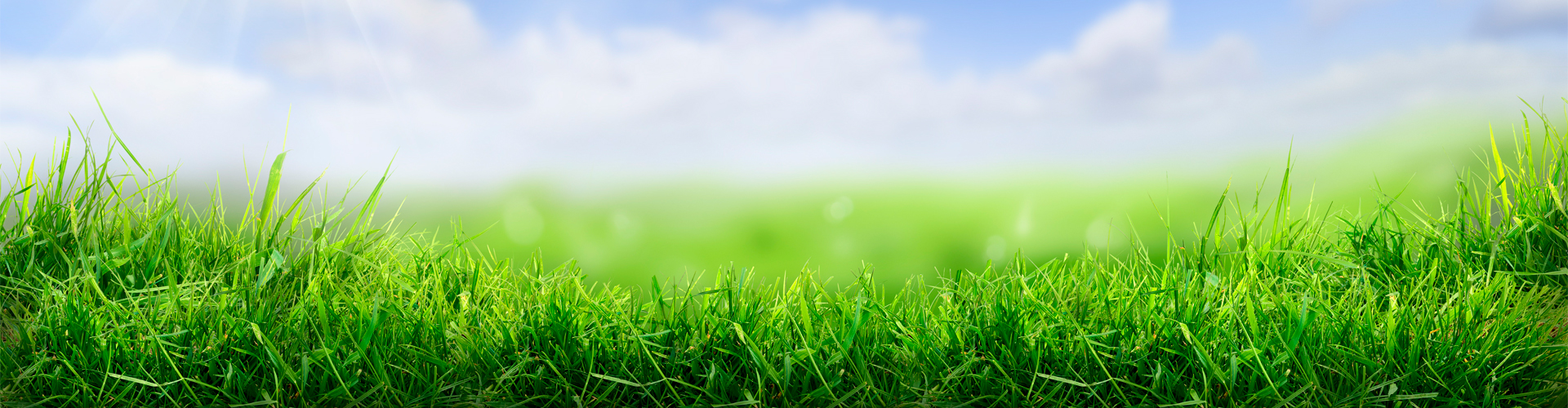 Miljømærket rengøringsmidler Miljømærket rengøringsmidler