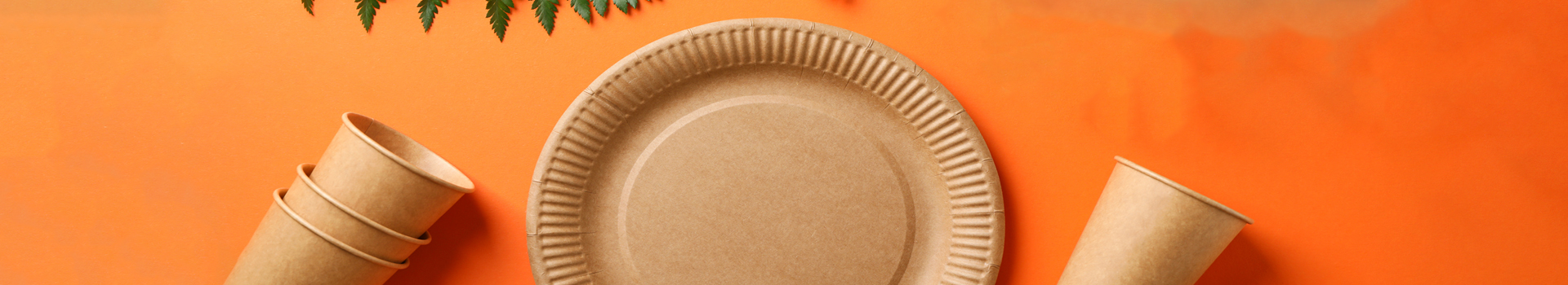 Tallerkner Tallerkner