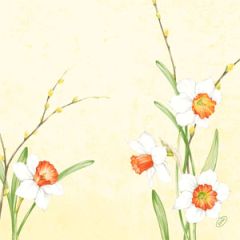 Dunisoft Serviet 40 x 40 cm Daffodil Joy - 60 stk/pk
