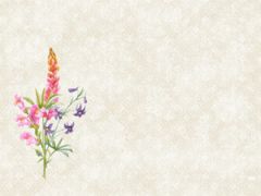 Dunicel Dækkeserviet 30 x 40 cm Floret - 100 stk/pk