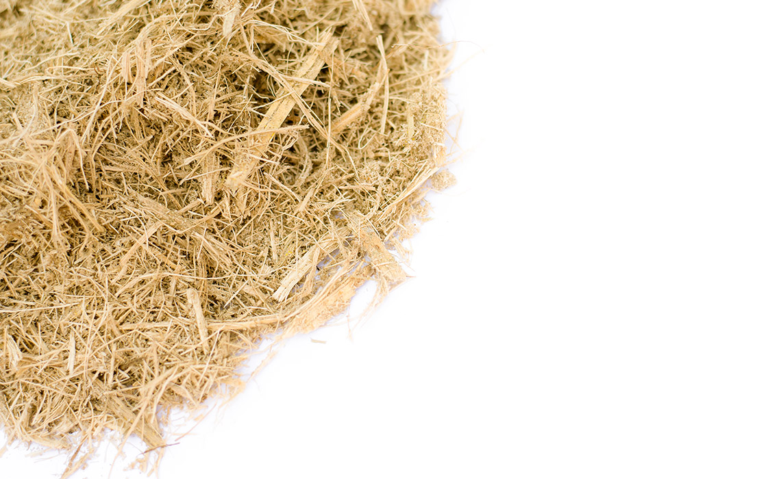 Hvid bagasse grafik som viser bagasse, som også kaldes sukkerrørsfibre