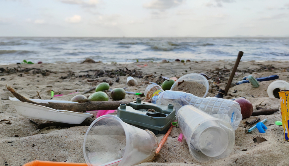 Forurening i naturen Skrald og affald som ligger på en strand