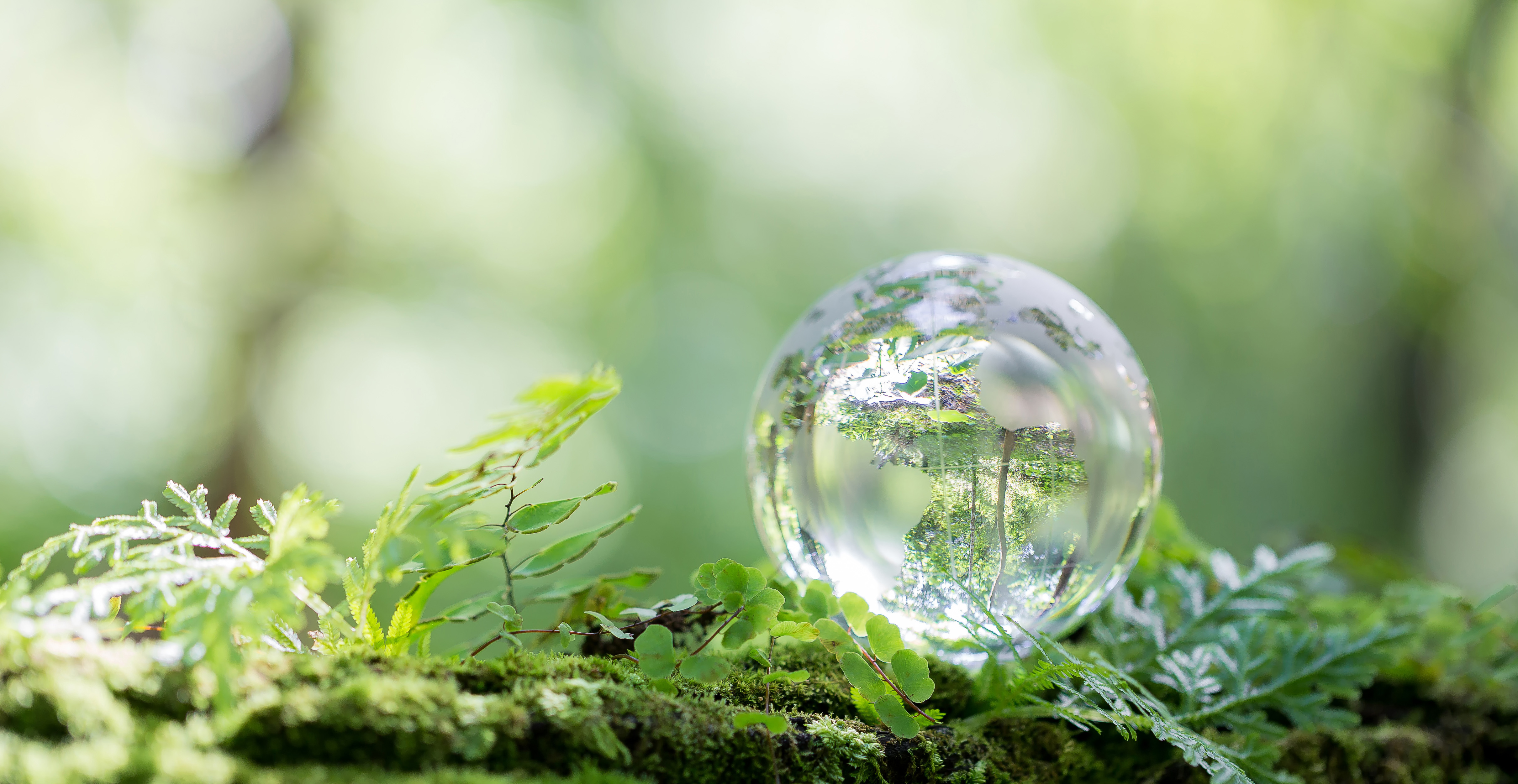 Miljøvenlig fremstilling En jordklode på græs og mos