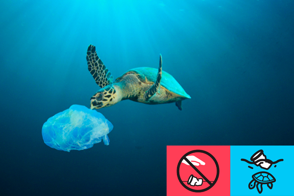 Forurening i verdenshavene Havskildpadde under vand undersøger plastikpose